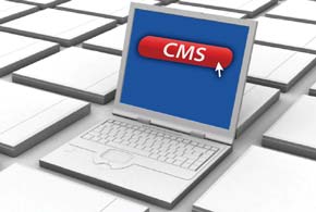 Getting the Most From Content Management Systems