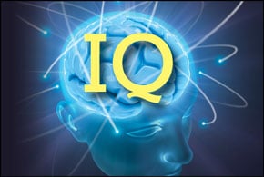 The Secrets of a High Organizational Digital IQ