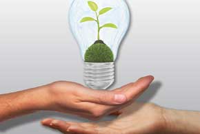 Innovation Thrives as CIOs Choose Collaboration