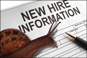 Uncertainty Slows Hiring Plans for Many Companies