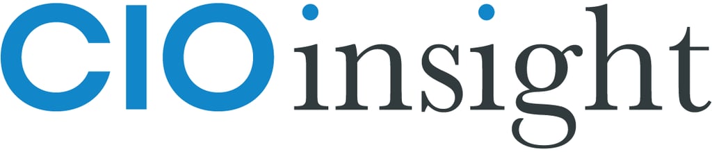 IT Strategy Assumptions for 2010