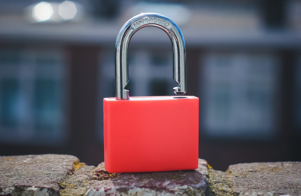 VPNs, Zero Trust Network Access, and the Evolution of Secure Remote Work