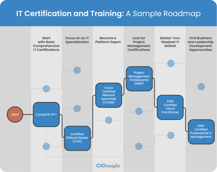 CIO certificate and course